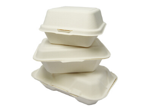 Bagasse Containers