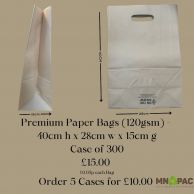 Large Premium Paper Bags (120gsm) - 40cm h x 28cm w x 15cm g