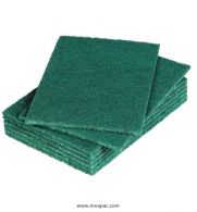this is an image of a green scourers