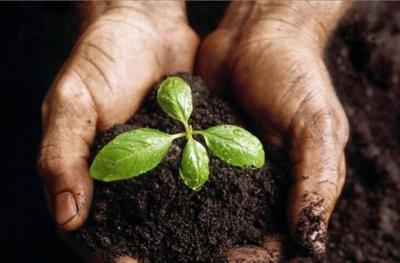 Grow, Eat... Compost & Repeat! 